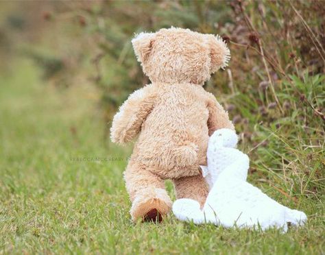 Photo Ours, Newborn Art, Teddy Bear Pictures, Teddy Bear Picnic, Childrens Wall Art, Bear Pictures, Tatty Teddy, Teddy Bear Stuffed Animal, Love Bear