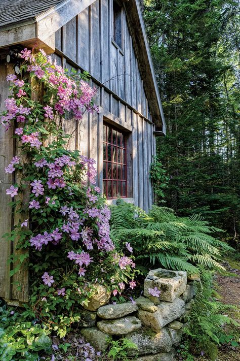 Plants Growing On House Exterior, Nantucket Landscaping Ideas, New England Cottage Garden, Maine Garden Ideas, Desert Cottage Garden, Native Shade Garden, Native Garden Landscaping, Vermont Gardening, Woodsy Garden