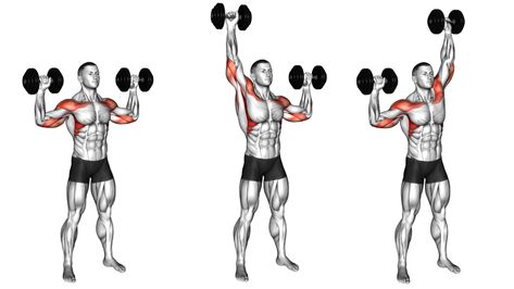 Overhead Dumbbell Press: Muscle Worked, Benefits, Variations Overhead Dumbbell Press, Overhead Press Muscles Worked, Leg Press Workout, Barbell Shoulder Press, Upper Body Exercises, Chest Workout Routine, Dumbbell Shoulder Press, Gaining Muscle, Best Chest Workout