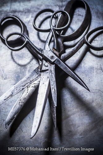 Old scissors #photography #Scissors Needles Tmagp, Scissors Photography, Old Scissors, Body Collage, Geometric Art Animal, Flea Market Style, Orient Express, Free Style, Landscape Wallpaper