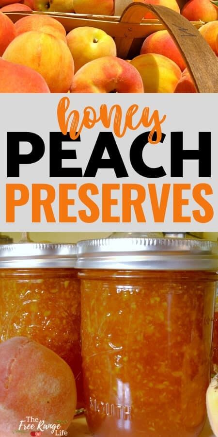 Honey Jam Recipes, White Peach Recipes, Peaches Cheesecake, Peach Preserves Recipe, Canning Jam Recipes, Peach Jam Recipe, Canning Peaches, Peach Jelly, Canning Fruit