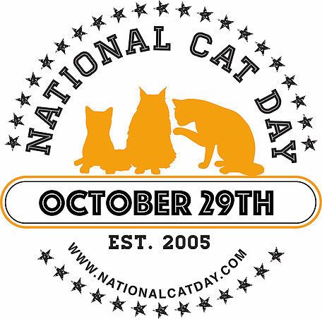 National Cat Day October 29th National Cat Day, Living With Cats, Pet Photographer, Cat Parenting, October 29, Cat Facts, Cat Care, Cat Rescue, Cat Adoption