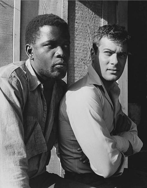 Sydney Poitier, Sidney Poitier, Gay History, Janet Leigh, Leading Men, Hollywood Cinema, Tony Curtis, Turner Classic Movies, Film Photos