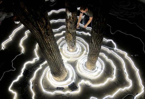 Roko's Basilisk, Event Installation, Forest Lights, Urban Project, Light Art Installation, مركز ثقافي, Lighting Installation, Concentric Circles, White Lights