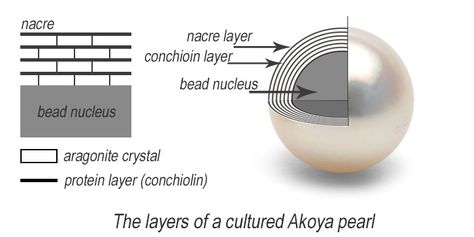 Cross Section Pearl Nacre Layers Akoya Akoya Pearl Drop Jewelry, Elegant Adjustable Akoya Pearl Jewelry, White Hypoallergenic Akoya Pearl Jewelry, Luxury Beaded Akoya Pearl Jewelry, South Sea Pearl Necklace, Akoya Pearl Necklace, Sea Necklace, Pearl Gifts, Pearl Stone