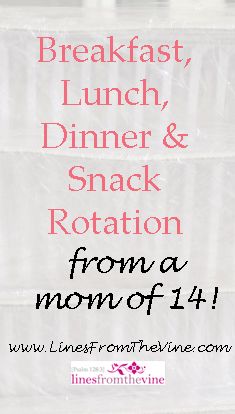 Meal Rotation, Family Breakfast, Preschool Lesson Plans, Frugal Meals, Preschool Lessons, Lunch Snacks, Easy Lunches, Large Family, School Lunch