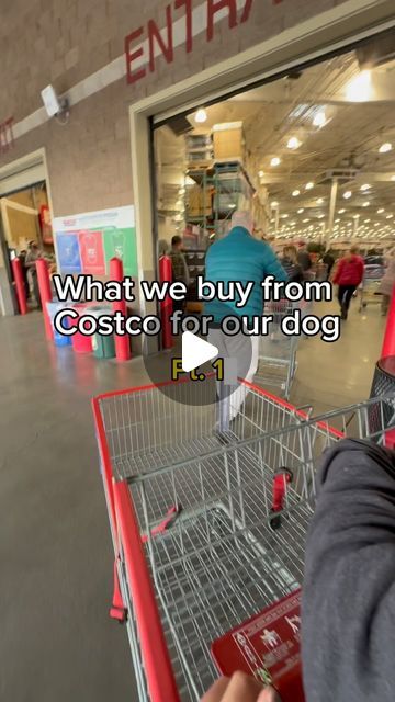 Dogs And Humans, Costco Finds, Food Matters, Animal Nutrition, Puppy Food, Dog Activities, Dog Recipes, Healthy Dog Treats, Healthy Dogs