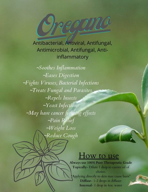 Oregano Essential Oils uses and benefits. Great for aromatherapists, massage therapist or anyone wanting to use essential oils. Digital download will print 8.5x11 inches. Oil Of Oregano Benefits, Clove Oil Benefits, Carrier Oil Benefits, Antifungal Essential Oil, Essential Oils Uses, Oregano Oil Benefits, Herbal Witch, Oregano Essential Oil, Essential Oils Guide