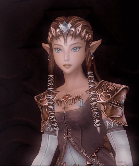 Twilight Princess Icon, Ganondorf Twilight Princess, Zelda Pfp, Legends Of Zelda, Legend Of Zelda Characters, Pfp Manga, Princesa Zelda, Botw Zelda, Nintendo Princess