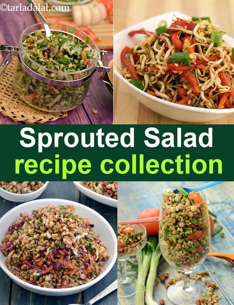 Sprouted Salad recipes, Veg Sprouted Salad recipe collection Salad Sprouts Recipe, Recipes For Sprouts, Sprouts Salad Indian, Sprouts Salad Recipes, Recipes With Sprouts, Sprout Salad Recipes, Sprouts Recipes Indian, Ayurvedic Meals, Moong Sprouts