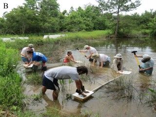 Local #scientists have teamed up to develop a new method for studying the impacts of various #sea levels on our #Gulf of Mexico #coastlines. Rising Sea Levels, Geotechnical Engineering, The University Of Alabama, Water Resources, University Of Alabama, Gulf Of Mexico, Scientists, Ecology, Low Cost