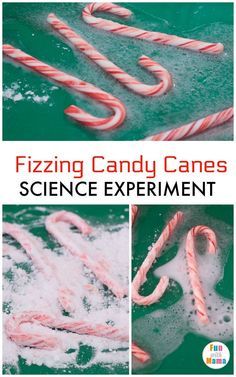 Winter Decor After Christmas Diy Crafts, Christmas Crafts 4th Grade Project For Kids, Grinch Science Experiments, Candy Cane Experiment Preschool, New Years Projects For Kids, Baking Soda Experiments, Candy Cane Science, Christmas Science Experiments, Science Homeschool