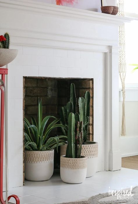 Plant In Fireplace, Plants On Fireplace Hearth, Plants In Fireplace Ideas, Plants In Front Of Fireplace, Plants In Fireplace, Ivy Fireplace, Fireplace Plants Decor, Inside Fireplace Decor, Unusable Fireplace