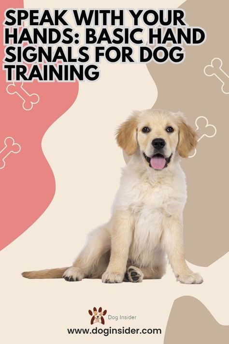 Dog Shih Tzu Training, Dog Training Hand Signals, Dog Commands Training, Dog Hand Signals, Dog Behaviorist, Dog Commands, Service Dog Training, Hand Signals, Dog Training Advice