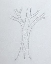 How to Draw a Tree Step by Step - Realistically | Your Art Box Simple Trees To Draw, How To Draw A Tree Trunk Step By Step, How To Draw Tree Without Leaves, Drawing Trees Step By Step Pencil, Drawings Of Trees Easy, Pictures Of Trees To Draw, How Draw Tree, Sketching Trees For Beginners, How To Draw Forest Trees