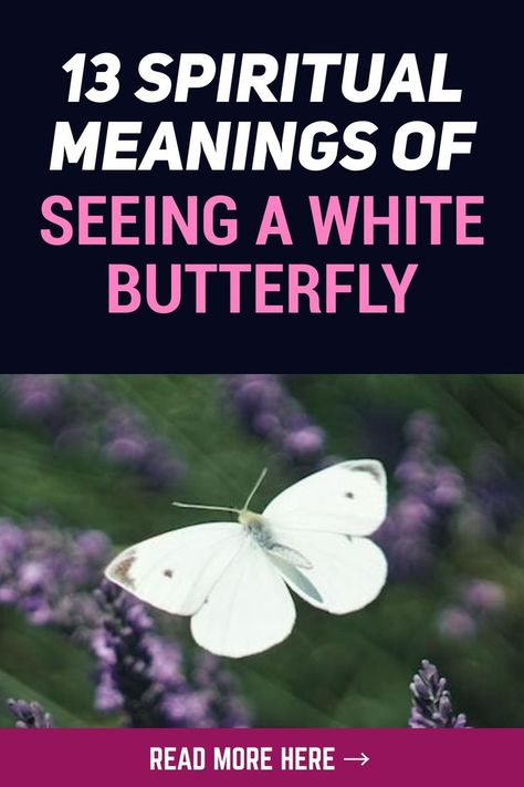 Seeing White Butterflies Meaning, White Butterflies Meaning, White Butterfly Meaning, Angelic Butterfly, Purity Symbol, Butterfly Symbolism, Butterfly Meaning, Cabbage Butterfly, Animal Meanings