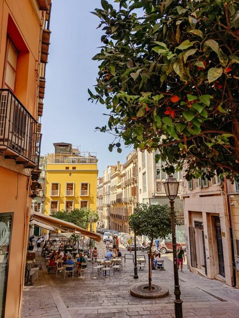 Sardinia, Italy, Cagliari, orange tree, old city vibes, yellow building, summer city, Mediterranean, cafe, latern, vacation, travel Sardinia House, Insta Story Highlights, Mediterranean Cafe, Yellow Building, Summer City, City Vibes, Cities In Italy, Senior Trip, Sardinia Italy