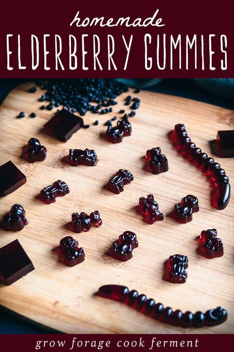 Elderberry Candy, Elderberry Gummy Recipe, Elderberry Gummies Recipe, Elderberry Cordial, Autumn Herbs, Herbal Business, Homemade Gummies, Elderberry Syrup Recipe, Living Naturally