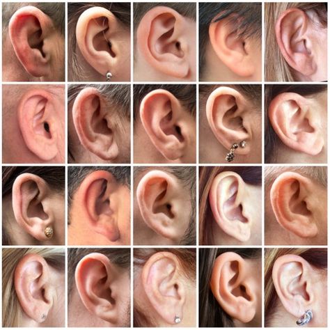 Dr Fernando, Reference Photos For Artists, Human Ear, 얼굴 드로잉, Face Drawing Reference, 얼굴 그리기, Anatomy For Artists, Anatomy Poses, Body Reference Drawing