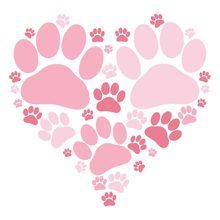 Fonts Embroidery, Heart Stuff, Diy Stationary, Paw Heart, �강아지 그림, Heart Svg, Free Svg Cut Files, Upcycled Crafts, Monogram Svg