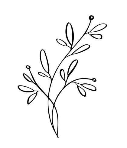 Simple Flower Drawing, Floral Line Art, Modern Flowers, Embroidery Small, Flower Line Drawings, Flowers Drawing, Flower Drawing Design, Flower Outline, Line Art Vector