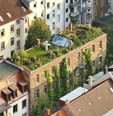 Urban Rooftop, Rooftop Gardens, Roof Garden Design, Eco City, Hidden Beauty, Garden Architecture, Green Architecture, Terrace Design, Rooftop Garden