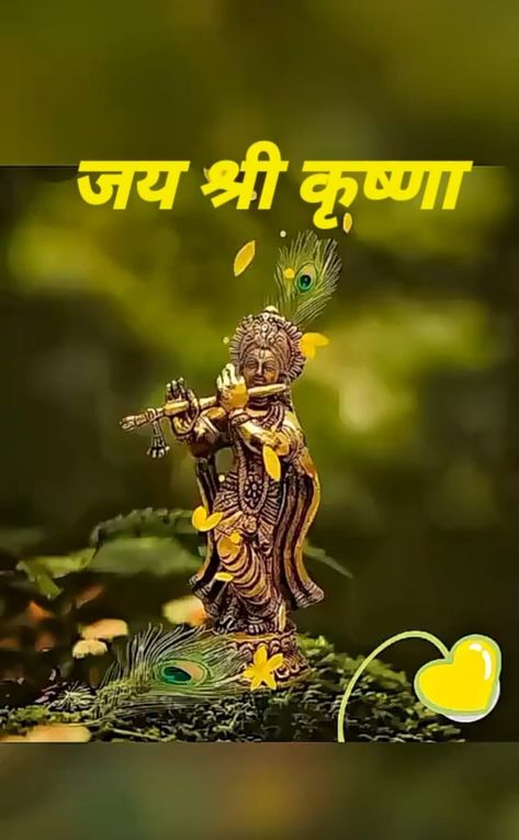 Jay Shree Krishna Image, Krishna Vachan, Krishna Good Morning, Jay Shree Krishna, Sree Krishna, Jai Shri Krishna, Dussehra Images, Good Morning Clips, Inspirational Good Morning Messages