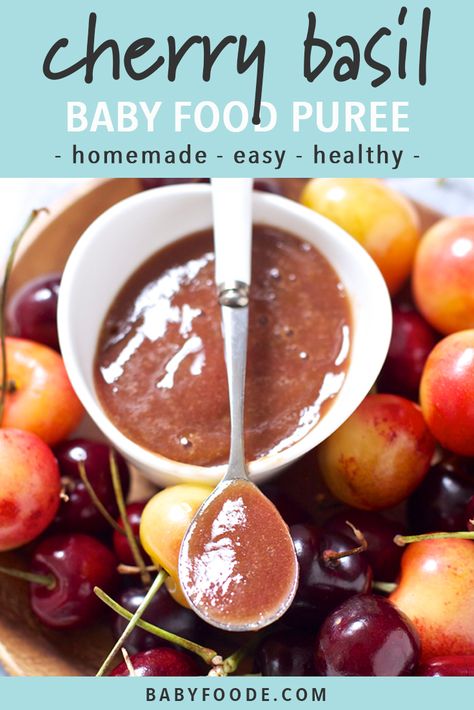 This Cherry + Basil Baby Food Puree is a fun way to introduce the taste of summer to baby. Filled with essential nutrients for growing baby - this puree will sure to be a hit! Great baby food for 4+ months - stage 1 baby food. #babyfood #babypuree #homemade Infant Recipes, Baby Food Recipes Stage 1, Baby Purees, Cherry Food, Easy Homemade Baby Food, Puree Recipes, Baby Food Puree, Weaning Foods, Baby Meals