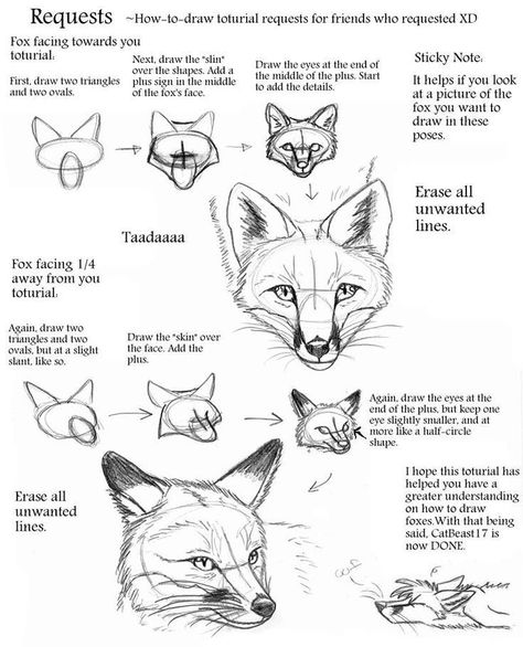 Fox Drawing Tutorial, Fox Poses, Fox Drawing Sketches, Fox Anatomy, Fox Sketch, Fox Artwork, Fox Drawing, Fox Painting, Nature Sketch