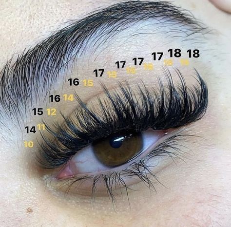 Pink Hybrid Lashes, Hybrid Lash Extensions Mapping, Volume Cat Eye Lash Extensions, Lash Ideas, Lash Maps, Lash Map, Lash Mapping, Best Lash Extensions, Lash Technician