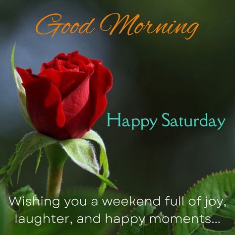 50 + Happy Saturday Good Morning Wishes with HD Images & Pictures Good Saturday Morning Images, Saturday Greetings Good Morning, Good Morning Happy Saturday Quotes, Saturday Good Morning Wishes, Good Morning Saturday Quotes, Saturday Good Morning Images, Happy Saturday Good Morning, Saturday Morning Images, Saturday Morning Greetings