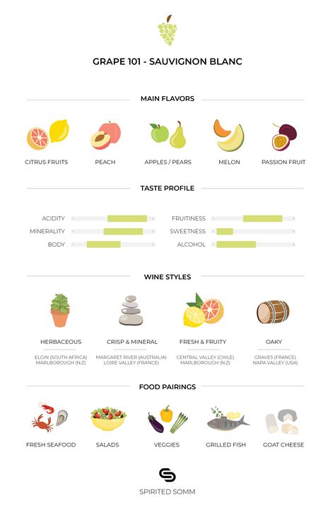 Everything you need to know about the Sauvignon Blanc grape Sauvignon Blanc Pairing, Cheese Platers, Wine Chart, Simple Infographic, Grape Varieties, Food Pairing, Cocktail And Mocktail, Wine Expert, Wine Education