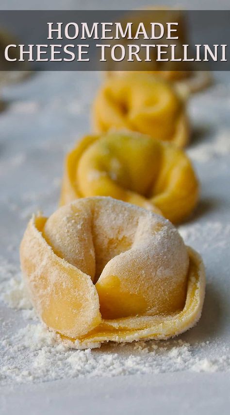 Homemade Cheese Tortellini starts with great homemade pasta. This cheese tortellini is filled with ricotta, Parmesan and fresh spinach. This is a step-by-step guide to making the perfect dough and turning it into tortellini. #homemadetortellini #cheesetortellini #ricottatortellini #homemadepasta Homemade Tortellini Dough, Homemade Tortilini Recipes, Homemade Cheese Tortellini, Homesteading Meals, Tortellini Filling, Recipes Tortellini, Easy Homemade Noodles, Perfect Dough, Homemade Tortellini