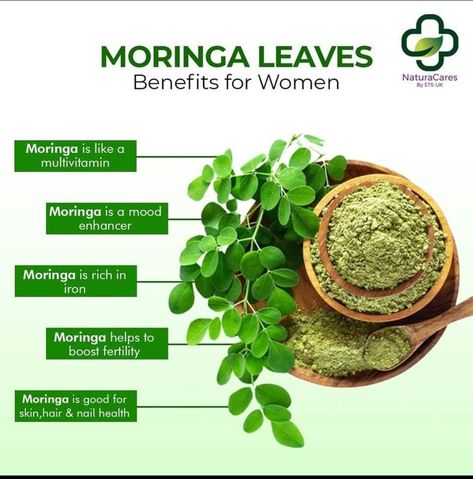 Moringa leaves beneficial for womens If you want to know more about moringa follow our social media pages Moringa Benefits For Women, Health Benefits Of Moringa, Benefits Of Moringa, Moringa Benefits, Moringa Tree, Moringa Leaves, Fertility Boost, Social Post, Mood Enhancers