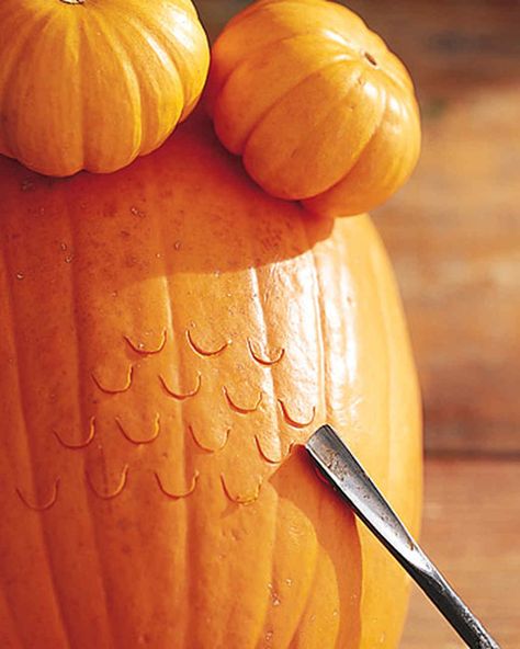 Pumpkin Owls & Video | Martha Stewart Owl Pumpkin Carving, Owl Ears, Owl Pumpkin, Pumpkins And Gourds, How To Make Pumpkin, Halloween Pumpkins Carvings, Large Eyes, Painted Pumpkins, Posters And Prints