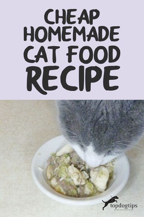 When done properly, making a cheap homemade cat food recipe is the best way to provide top quality nutrition without breaking your budget. Easy Homemade Cat Food, Cat Food Recipe Homemade Cooked, Soup For Cats, Homemade Wet Cat Food Recipes, Homemade Cat Food Recipes Easy, Homemade Cat Food Recipes Vet Approved, Cooked Cat Food Recipes, Diy Cat Food Recipe, Homemade Cat Treats Recipes