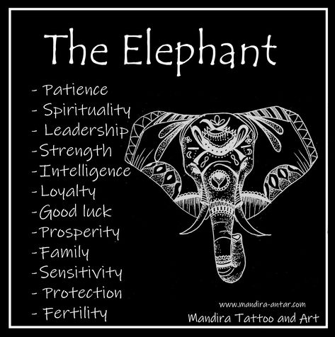 Tattoo symbols-The elephant Symbolism by Mandira Antar Animal tattoos are really common and popular among tattoo lovers, both artists and wearers. One of the few most artistically and symbolically interesting is the Elephant.  Ancient, intelligent, patient and strong, the elephant is a prehistoric creature (it comes from the mammoth) with magnificent characteristics and of immense symbolic and religious significance. Elephant Symbolism, Elephant Spirit Animal, Elephant Meaning, Elephant Quotes, Symbole Tattoo, Elephant Tattoo Meaning, Animal Spirit Guides, Animal Symbolism, Symbols And Meanings