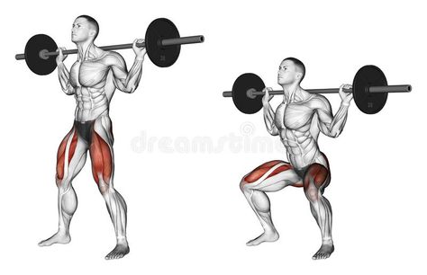 Exercising. Squats on the shoulders. Squats on the shoulders. Exercising for bodybuilding Target muscles are marked in red. Initial and final steps royalty free illustration Shoulder Training, How To Get Bigger, Body Coach, Quad Exercises, Leg Training, Back Squats, Front Squat, Leg Curl, Leg Press