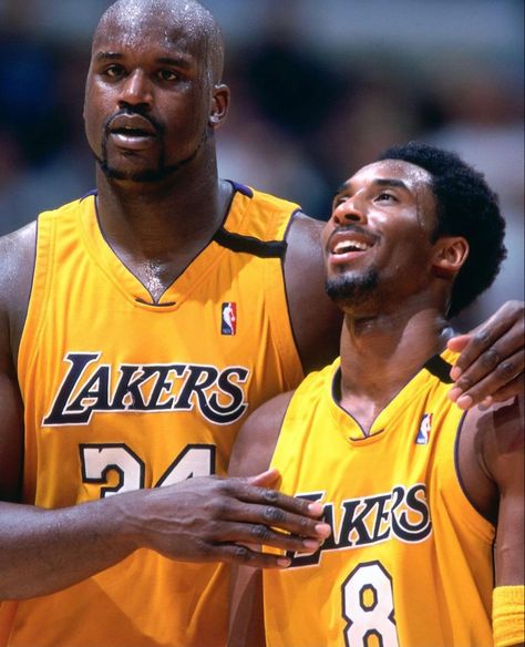 Shaq & Kobe Shaq And Kobe, Lakers Championships, Kobe Bryant Family, Kobe Bryant Pictures, Kobe Bryant Black Mamba, Nba Legends, Western Conference, Shaquille O'neal, Basketball Pictures