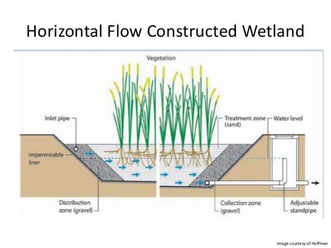 Constructed wetlands summary code innovation - feb 2013 Wetland Design, Wetlands Landscape, Constructed Wetland, Bog Filter, Eco House Plans, Regenerative Design, Grey Water System, Drainage Pipe, Studio Inspiration