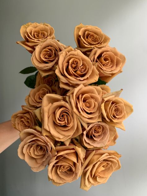 Roses Flower Aesthetic, Toffee Roses, Brown Roses, Rose Varieties, Aesthetic Brown, Roses Flower, Caramel Coffee, Rosé Aesthetic, Wedding Palette