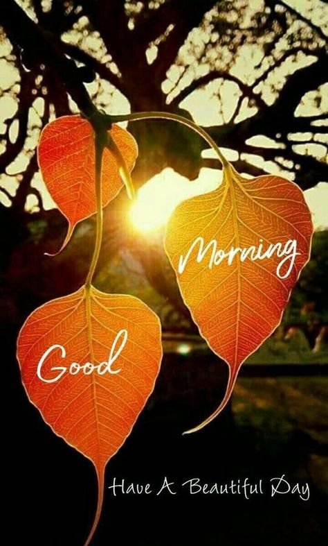 Good Morning For Love, Good Morning Happy Weekend, Happy Tuesday Morning, Beautiful Good Morning Images, Love Good Morning, Morning Sayings, Good Morning Sunday Images, Good Morning Tuesday, Beautiful Good Morning