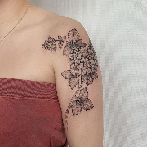 Snowball Bush Tattoo, Hydrangea And Daisy Tattoo, Black Hydrangea Tattoo, Hydrangea Arm Tattoo, Hydrangea Half Sleeve Tattoo, Hummingbird And Hydrangea Tattoo, Hydrangea Back Tattoo, Hydrangea Tattoo Small Black, Hydrangea Tattoo Hip