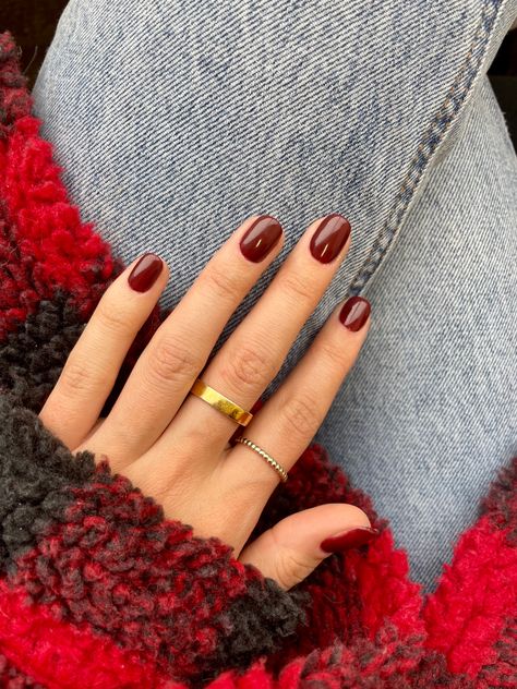 Short Round Fall Nails 2023, Fall Nail Colors Natural Nails, Brown Manicure Ideas For Short Nails, Dark Red Short Natural Nails, Fall Nails Real Nails, Fall Nails 2023 Oval, Short Dip Fall Nails, Short Maroon Acrylic Nails, Maroon Shellac Nails