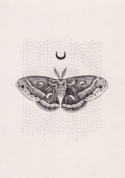 Peter Carrington Find beauty in small things, in things you're scared of. Borboleta Tattoo, Moth Drawing, Lunar Moth, Kunst Tattoos, Tattoos Geometric, Moth Tattoo, Arte Horror, Skin Art, Moon Tattoo