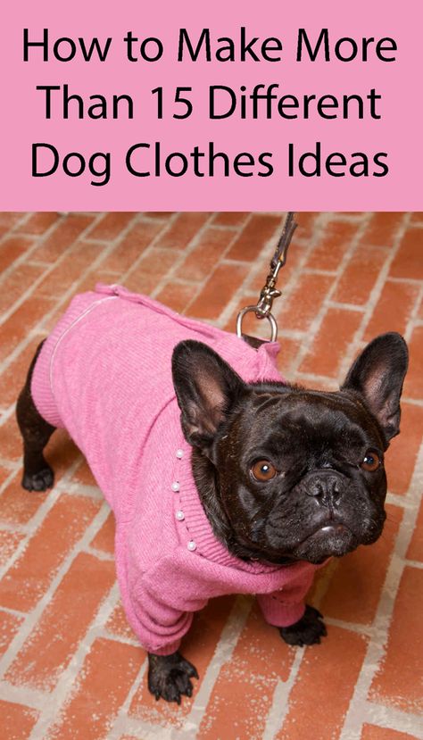 Diy Dog Sweater, Dog Clothes Patterns Sewing, Dog Coat Pattern, Dog Sewing Patterns, Coat Check, Luxury Dog Collars, Dog Clothes Diy, Designer Dog Collars, Fancy Dog