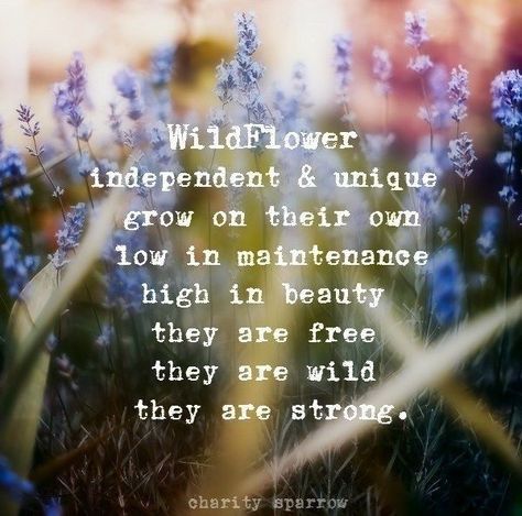 Wildflower Cottage, Wild Flower Quotes, Rose Quotes, Alice And Wonderland Quotes, Art Quotes Inspirational, Strong Women Quotes, Wild Woman, Flower Quotes, Garden Theme