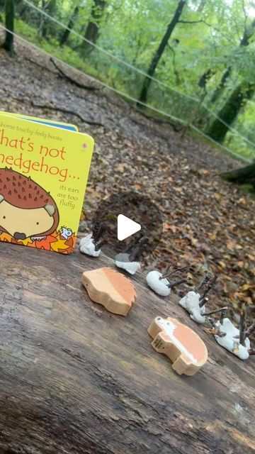 Sam Goldsworthy on Instagram: "Today at Forest School we made clay hedgehogs using sticks and hammers which was great for 

🦔using tools 
🦔talking about sizes of the sticks 
🦔learning the makaton sign for hedgehog 
🦔 introducing new words - nocturnal and spikey 
🦔using our muscles to snap the sticks 

And we had some super cute hedgehogs to place on our nature shelf 

#samgoldsworthychildmindingplayideas #forestschool #forestschoolideas #forestschooling #forestschoolleader #forestschoolactivities #handsonlearning #outdoorclassroom #outdoorlearning" Nature Shelf, Childminding Ideas, Makaton Signs, Forest School Activities, School Leader, Outdoor Classroom, Forest School, Cute Hedgehog, Outdoor Learning