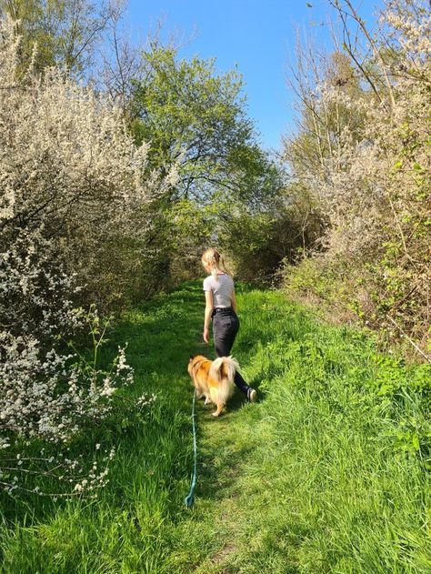 #spring #walk #springwalk #srping trees #trees #cherryblossom #arsthetic #vibe #dog #fit Spring Walk, 2024 Board, Dog Runs, Spring 2024, Dog Walking, Cherry Blossom, Walking, Trees, Dogs