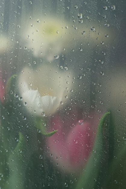 Rainy Wallpaper Aesthetic, Rainy Wallpaper, Lockscreen Ideas, Nature Iphone Wallpaper, Spring Rain, Iphone Lockscreen, Daily Reminders, Phone Background